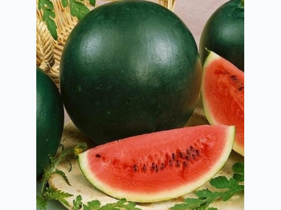 Organic Heirloom Sugar Baby Watermelon Seeds - Generic Packaging