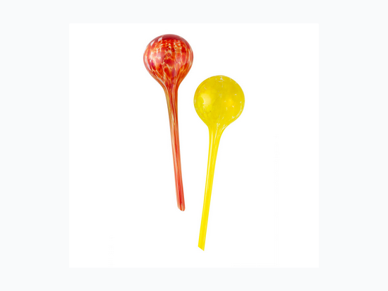 Wyndham House™ 2 PC Hand-Blown Glass Plant Watering Globe Set