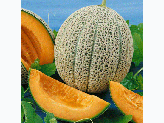 Organic Heirloom Hales Best Cantaloupe Seeds - Generic Packaging