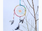 Multi Colored Dreamcatcher With Feathers - 5"