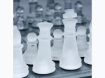 Maxam™ 33pc Glass Chess Set