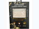 10 Foot USB Powered White LED String Light on Copper Wire