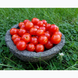 Organic Heirloom Red Cherry Tomato Seeds - Generic Packaging